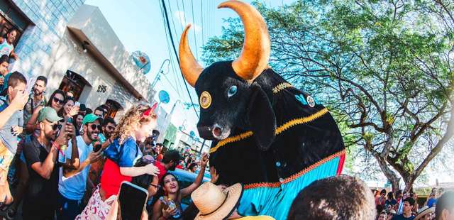 Cortejo do Boi da Macuca