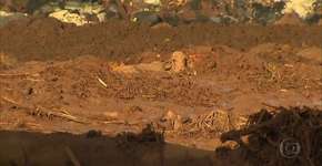 Vaca agoniza presa à lama e é sacrificada em Brumadinho