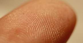 Foto: (Imagem sem texto alternativo disponivel ID [1076009])