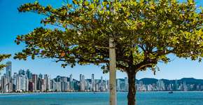 Foto: (Depositphotos/inacioluc)