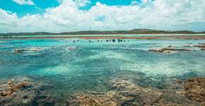 Foto: (Divulgação/Pratagy)