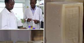 Estudantes criam sabonete capaz de repelir o mosquito da malária