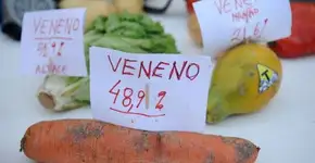 Foto: (Fernando Frazão/Agência Brasil)