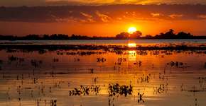 5 destinos de ecoturismo para fugir do Carnaval