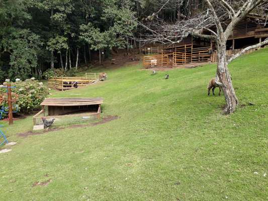 Campos do Jordão Fazendinha Toriba