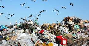 Foto: (Imagem sem texto alternativo disponivel ID [1833749])