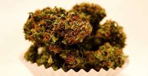 Detidos vendendo brigadeiro de maconha, jovens passam três meses presos no RJ