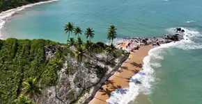 Foto: (Istock/Cristian Lourenço)
