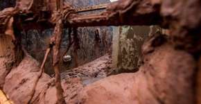 Foto: (Imagem sem texto alternativo disponivel ID [1160797])