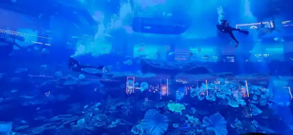 Complexo ainda conta com uma aquário gigante