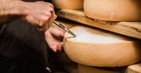 Foto: (Getty Images/iStockphoto)