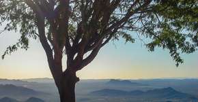 Foto: (Rodrigo Staley/Wikipedia)