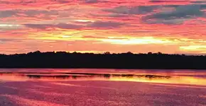 Amazônia: você não tem ideia do que está perdendo!