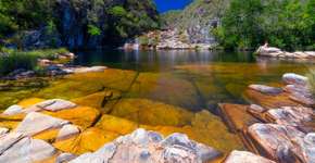 Foto: (Getty Images/iStockphoto)