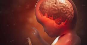 Cientistas desvendam enigma ao descobrirem o que determina a gravidade do autismo