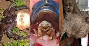 Foto: (Imagem sem texto alternativo disponivel ID [1492151])