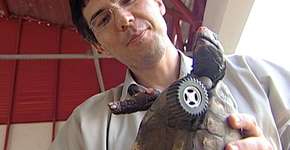 Foto: (Imagem sem texto alternativo disponivel ID [1867920])