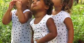 Foto: (Imagem sem texto alternativo disponivel ID [1606226])