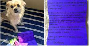 Foto: (Imagem sem texto alternativo disponivel ID [1141496])