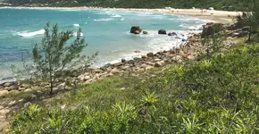 Foto: (Imagem sem texto alternativo disponivel ID [1968722])