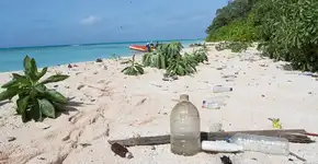 ONU convoca internautas para desafio de combate ao lixo plástico