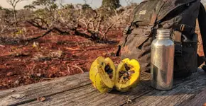 Foto: (Imagem sem texto alternativo disponivel ID [2736994])