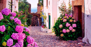 Foto: (Imagem sem texto alternativo disponivel ID [1486336])