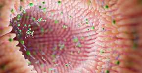 Medicamentos comuns continuam alterando seu intestino anos depois de você parar de tomá-los