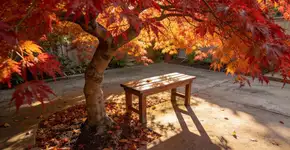 Foto: (Imagem sem texto alternativo disponivel ID [2681146])