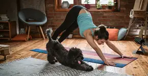 Professores de educação física dão sugestões de atividades para alunos em casa