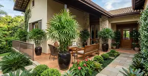 Poucas pessoas sabem: a palmeira ideal para o seu jardim que não tem raiz agressiva, dispensa muita água e valoriza o imóvel