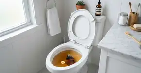 Colocar um sachê de chá preto dentro do vaso sanitário: para que serve e por que é recomendado