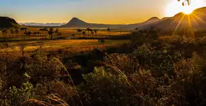 Foto: (Divulgação)