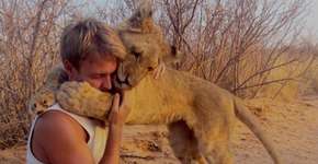 Foto: (Imagem sem texto alternativo disponivel ID [542902])