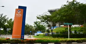 Foto: (Simon Roughneen/iStock)