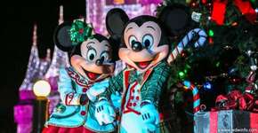 Foto: (Imagem sem texto alternativo disponivel ID [1869226])