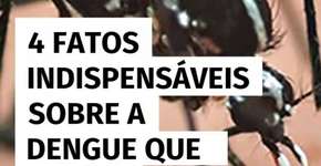 4 fatos indispensáveis sobre a dengue que você precisa saber