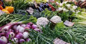 Por que essas 10 verduras são consideradas as mais saudáveis do mundo?