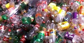 Veja quanto tempo cada material leva para se decompor