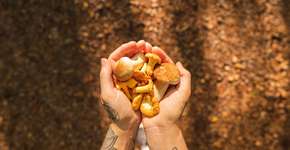 Foto: (luza studios/istock)