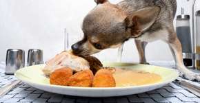 Foto: (Imagem sem texto alternativo disponivel ID [891718])