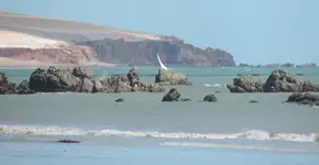 Foto: (Eduardo Lacerda/Ascom Casa Civi)