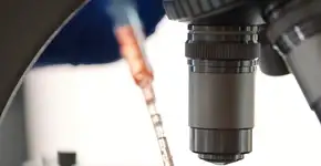 Estudo da USP identifica relação entre hormônio do crescimento e ansiedade