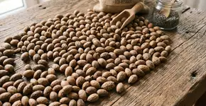 Se você tem caroços de azeitona em casa, tem um tesouro em mãos: por que e como reutilizá-los?