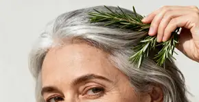 Foto: (Imagem sem texto alternativo disponivel ID [2673163])