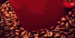 A vez da cafeína: visite a feira Expo Café Brasil