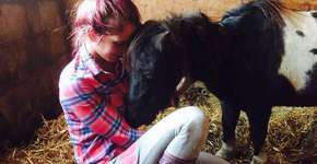 Pônei grita de desespero depois de perder bebê em ataque bárbaro