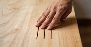 Foto: (Imagem sem texto alternativo disponivel ID [2697770])