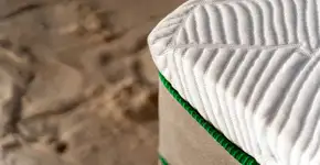 Foto: (Divulgação)