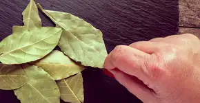 Foto: (iSTock/Manuel Milan)